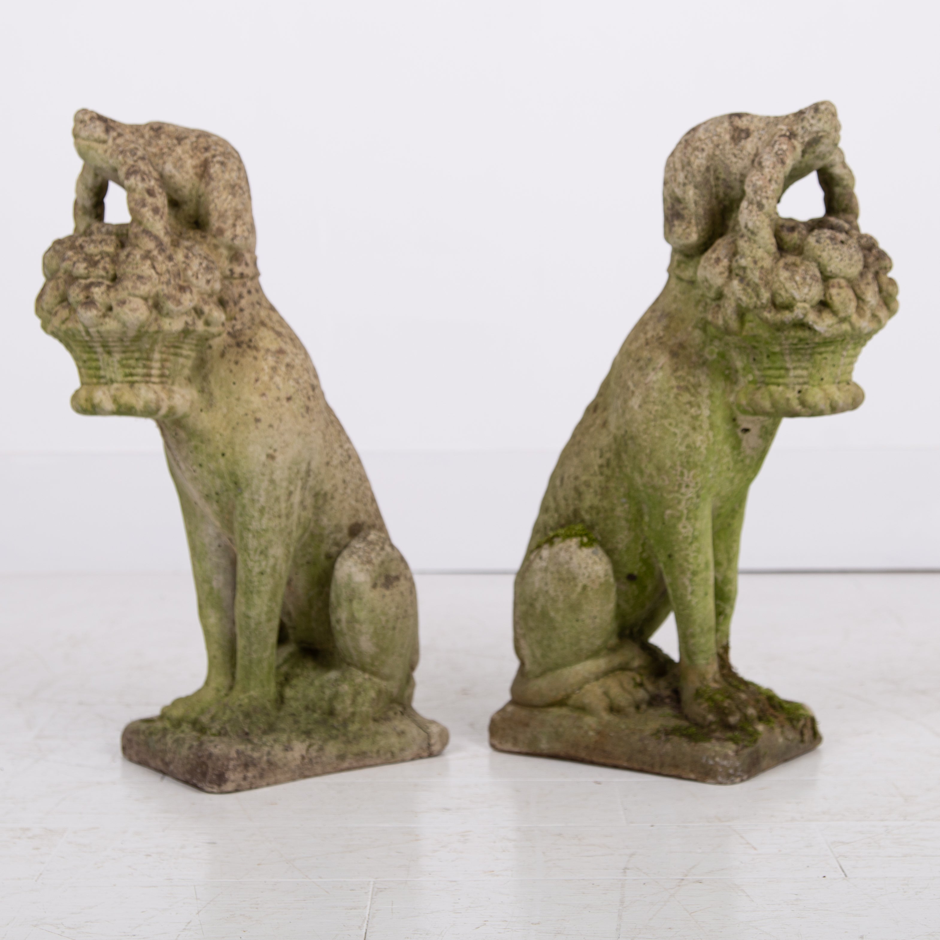 Charming Pair of Weathered Garden Stone Dogs