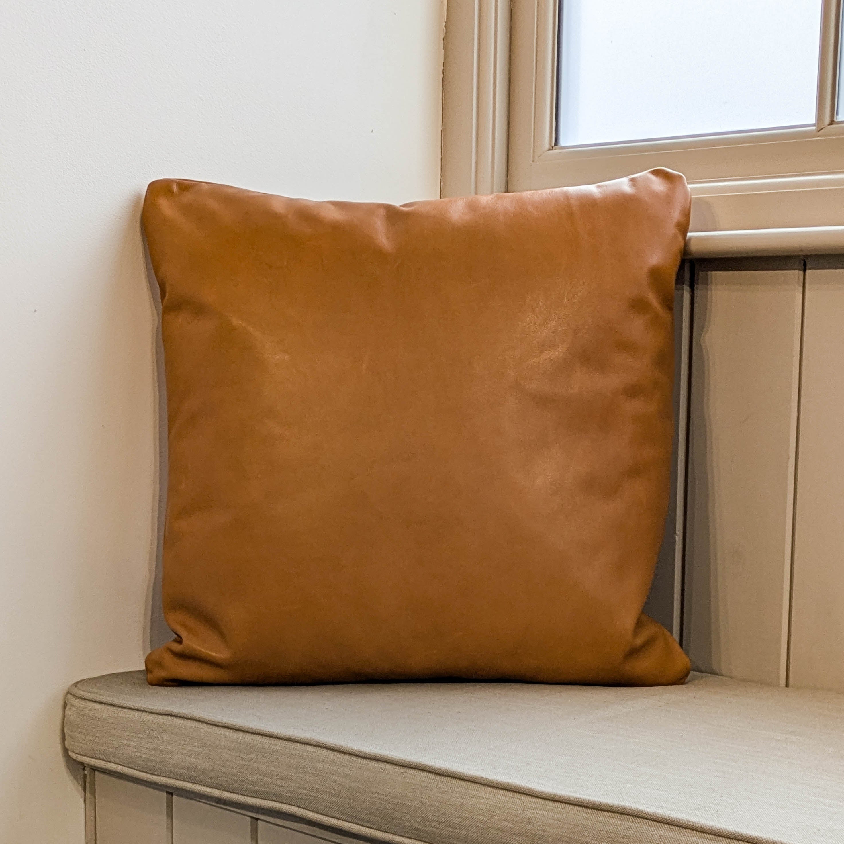 CCC2 One Of Our Luxury Leather Cushions 3 Sizes Available