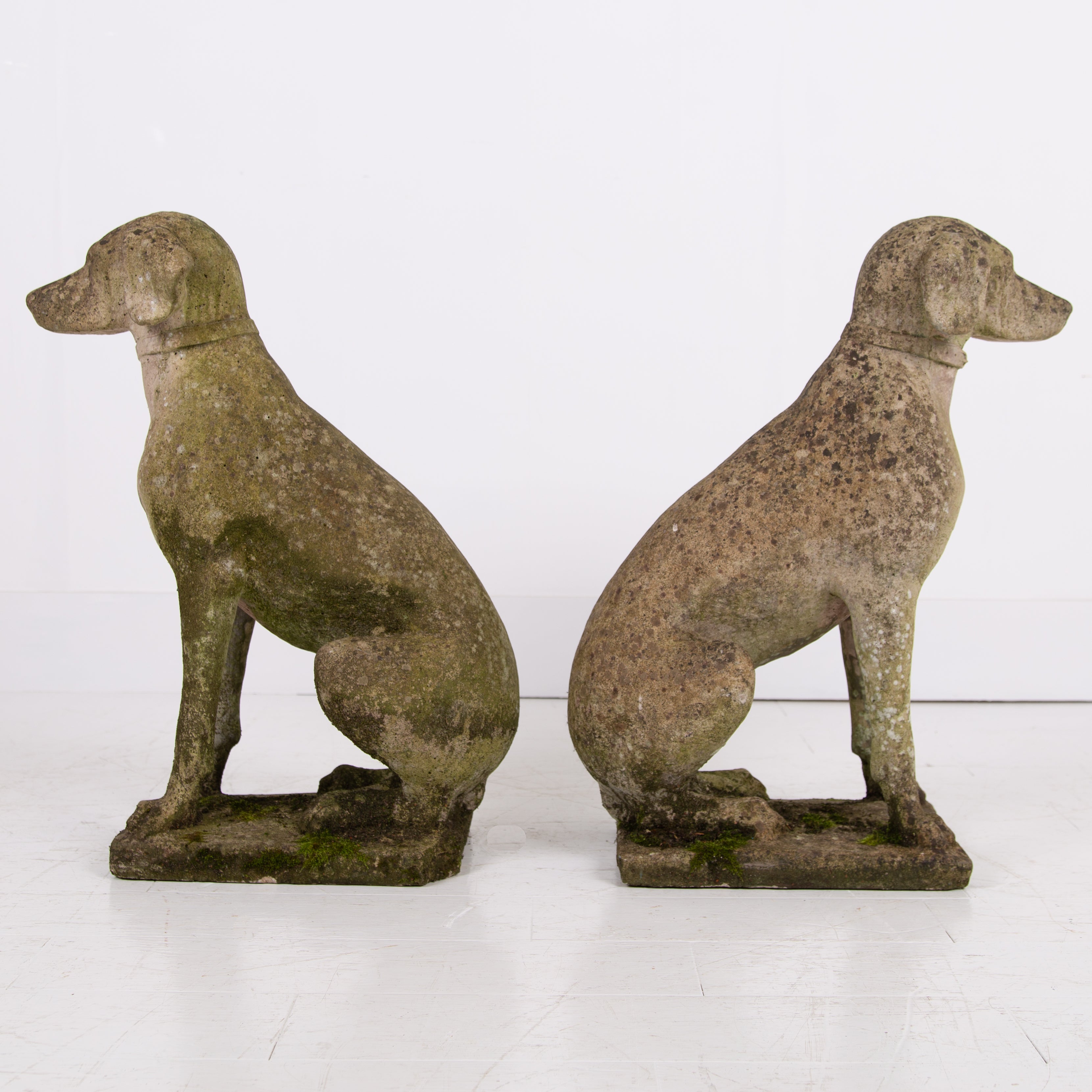 Great Pair of Weathered Stone Dogs